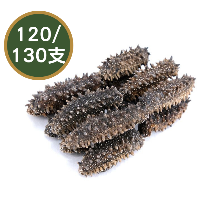 【120/130支】日本北海道刺参