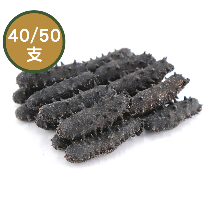 【40/50支】日本关东刺参